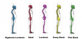 Posture & Alignment