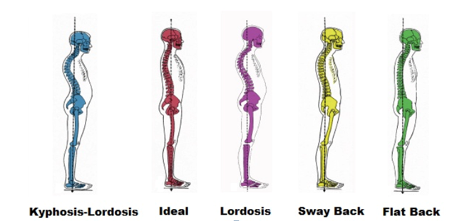 Posture & Alignment